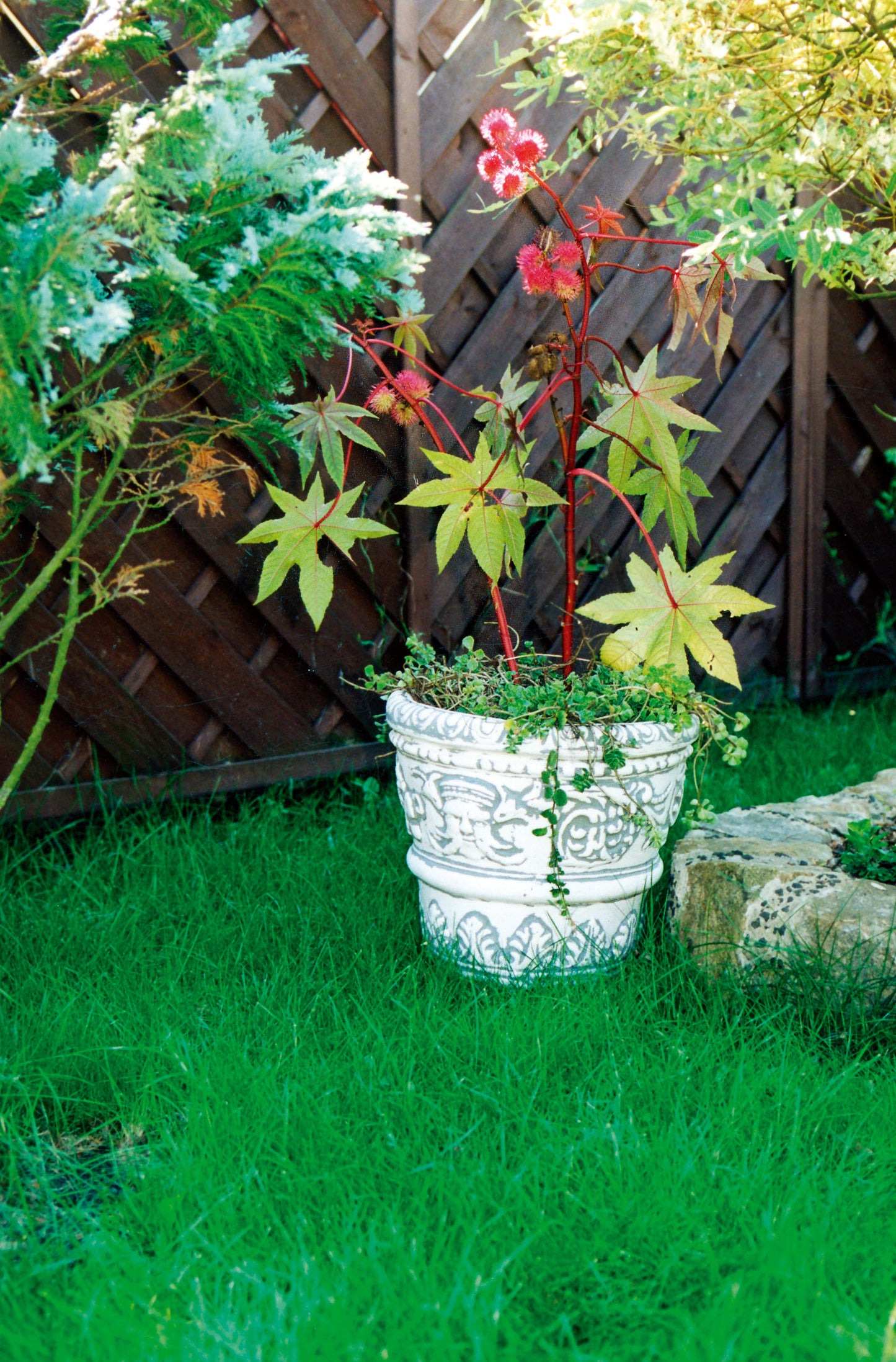 Flower pot decorated with Egyptian mosaic, outdoor/indoor