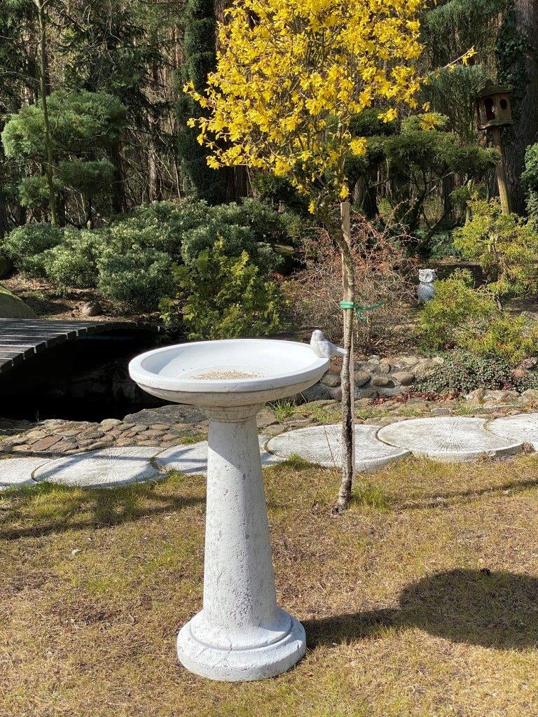 Premium Architectural Concrete Birdbath - 76cm Height