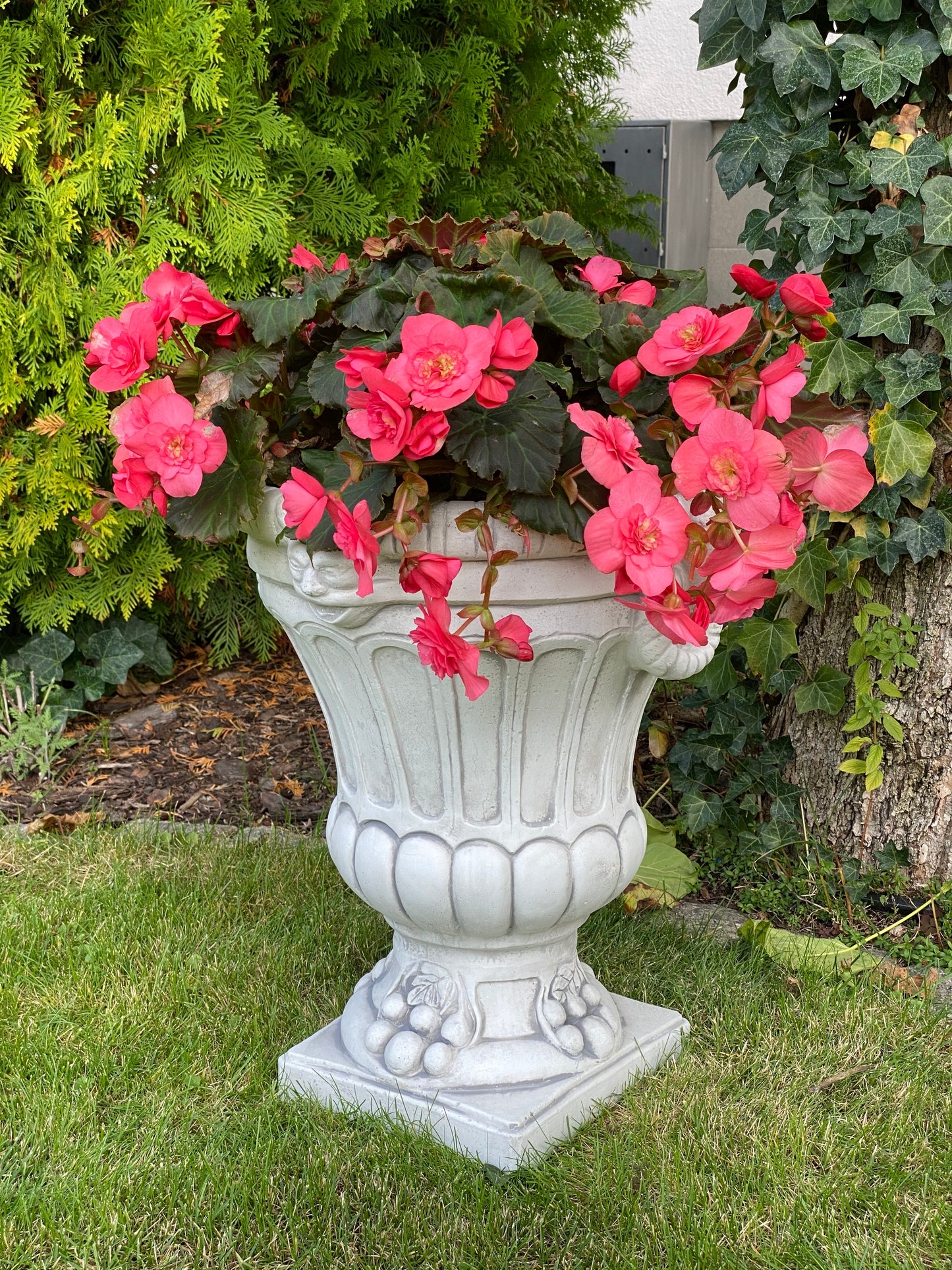 Classic Elegance Concrete Pot