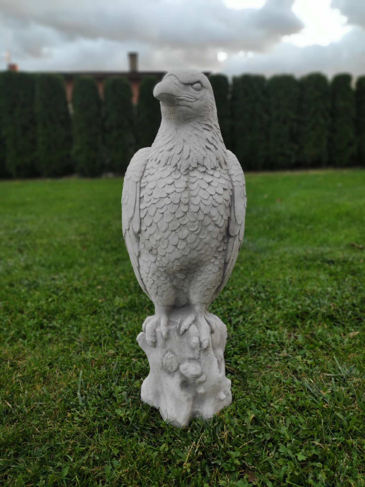 Majestic Eagle on Stone: A Symbol of Strength and Grandeur