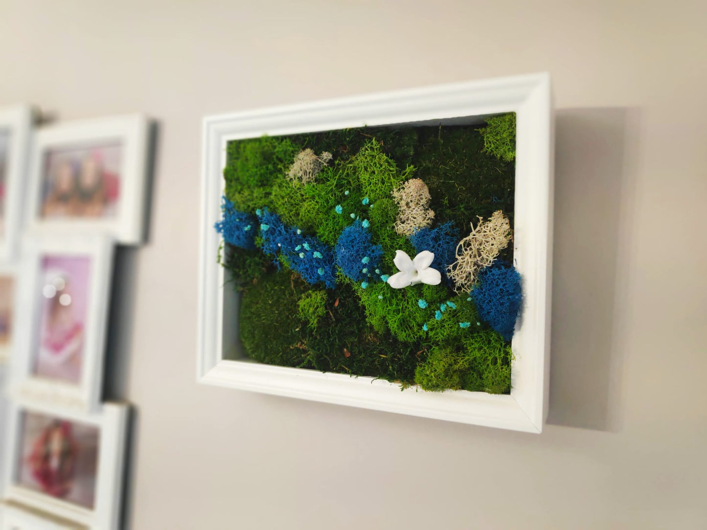 Craft made of Scandinavian moss and preserved plants in white frame - Fairy Jasmin flower