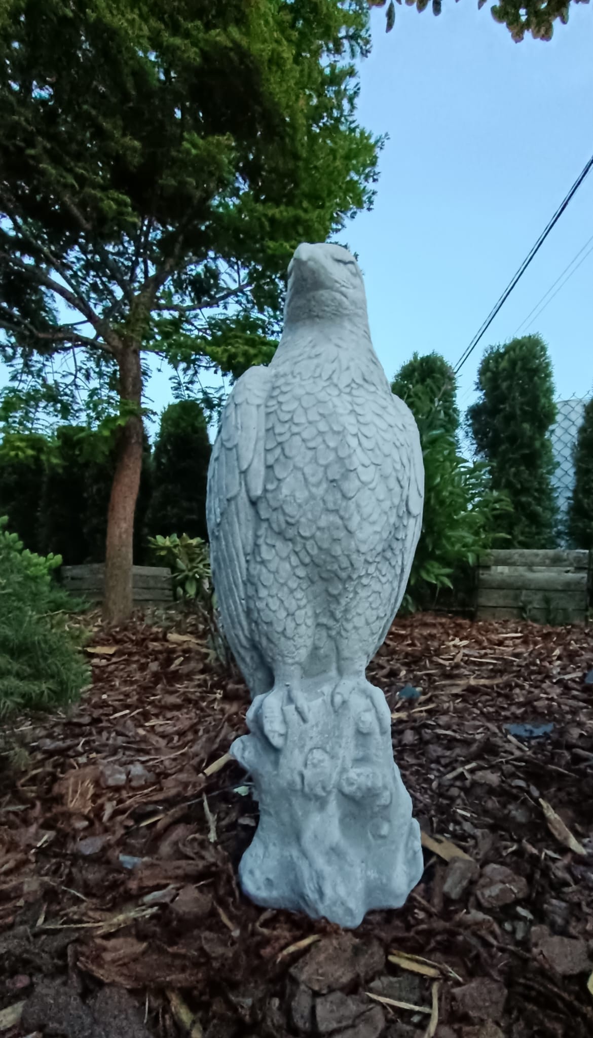 Majestic Eagle on Stone: A Symbol of Strength and Grandeur