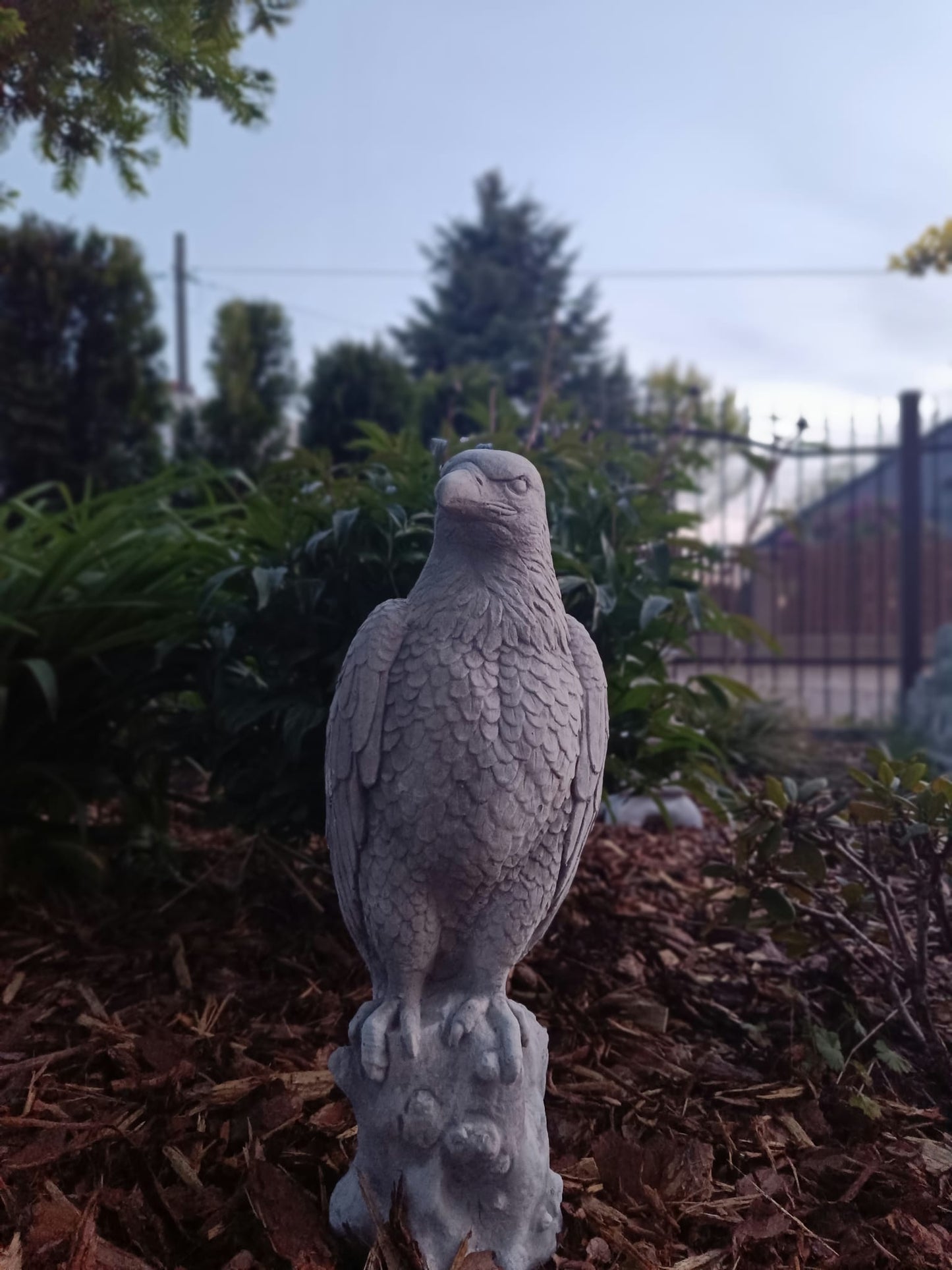 Majestic Eagle on Stone: A Symbol of Strength and Grandeur