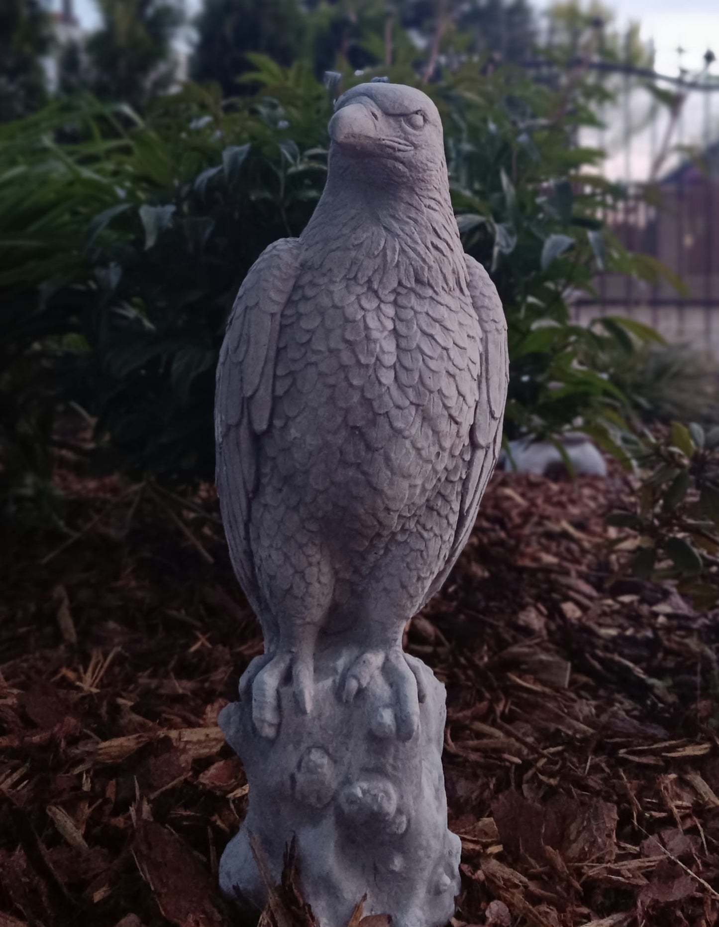 Majestic Eagle on Stone: A Symbol of Strength and Grandeur