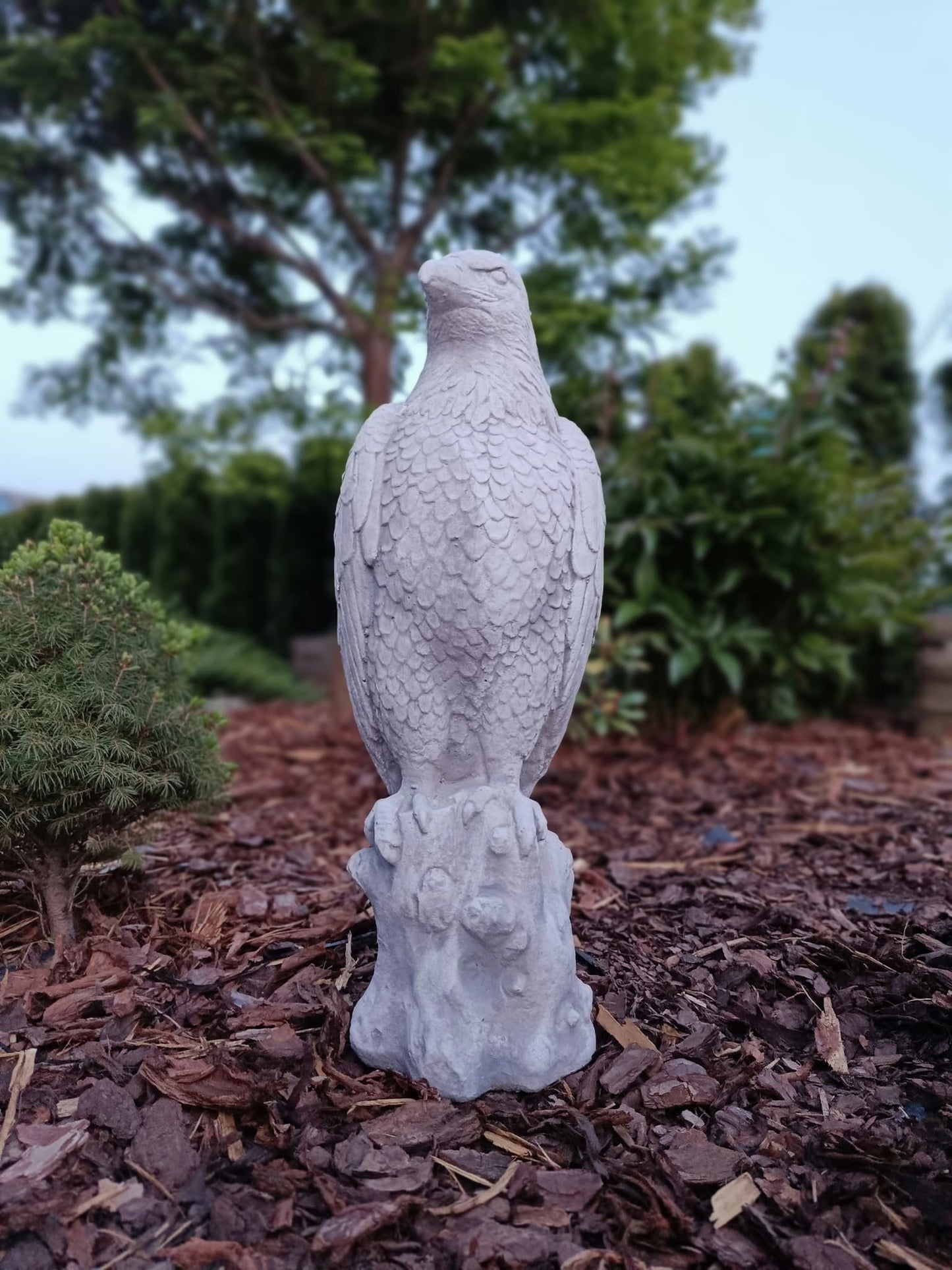 Majestic Eagle on Stone: A Symbol of Strength and Grandeur