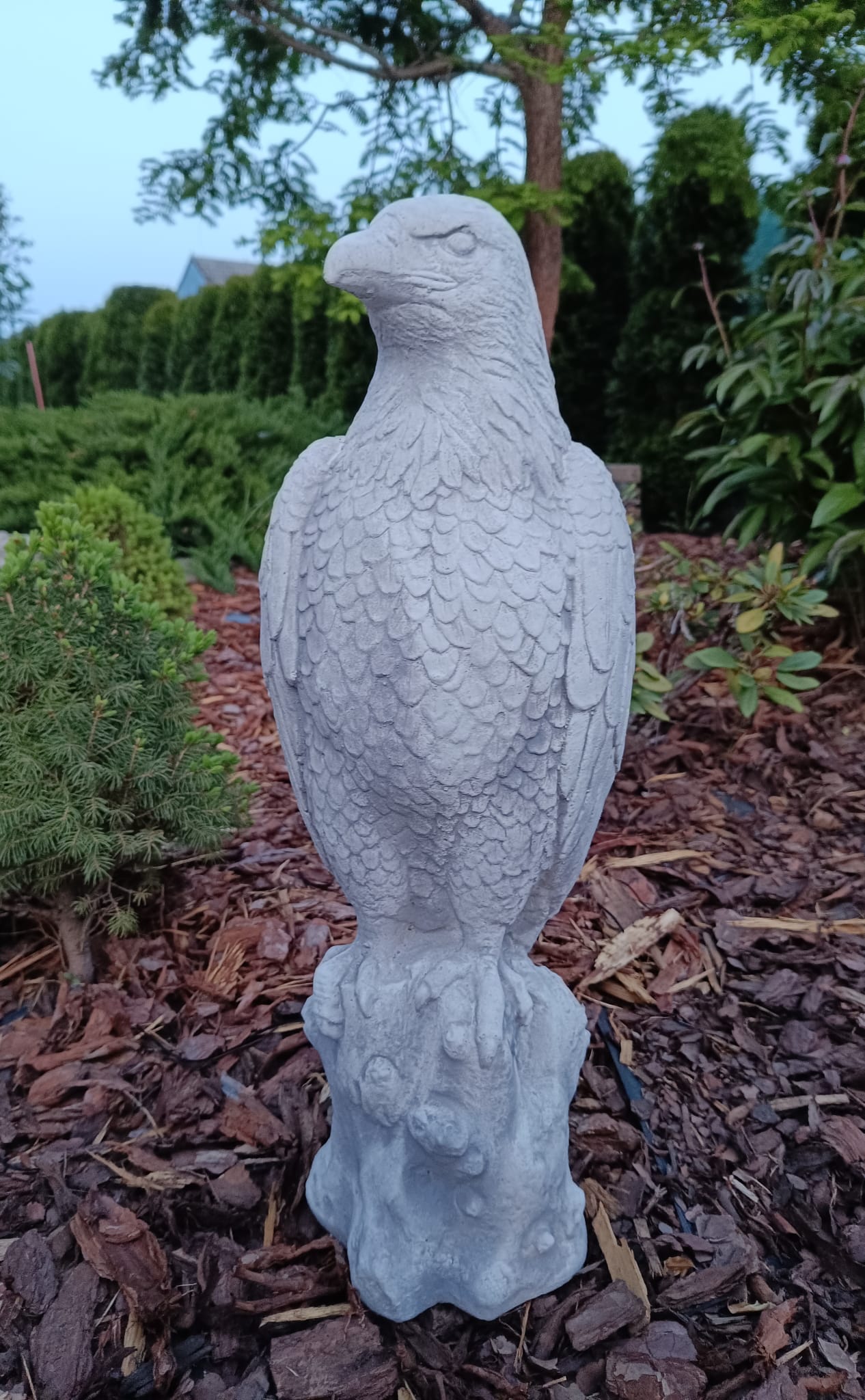 Majestic Eagle on Stone: A Symbol of Strength and Grandeur