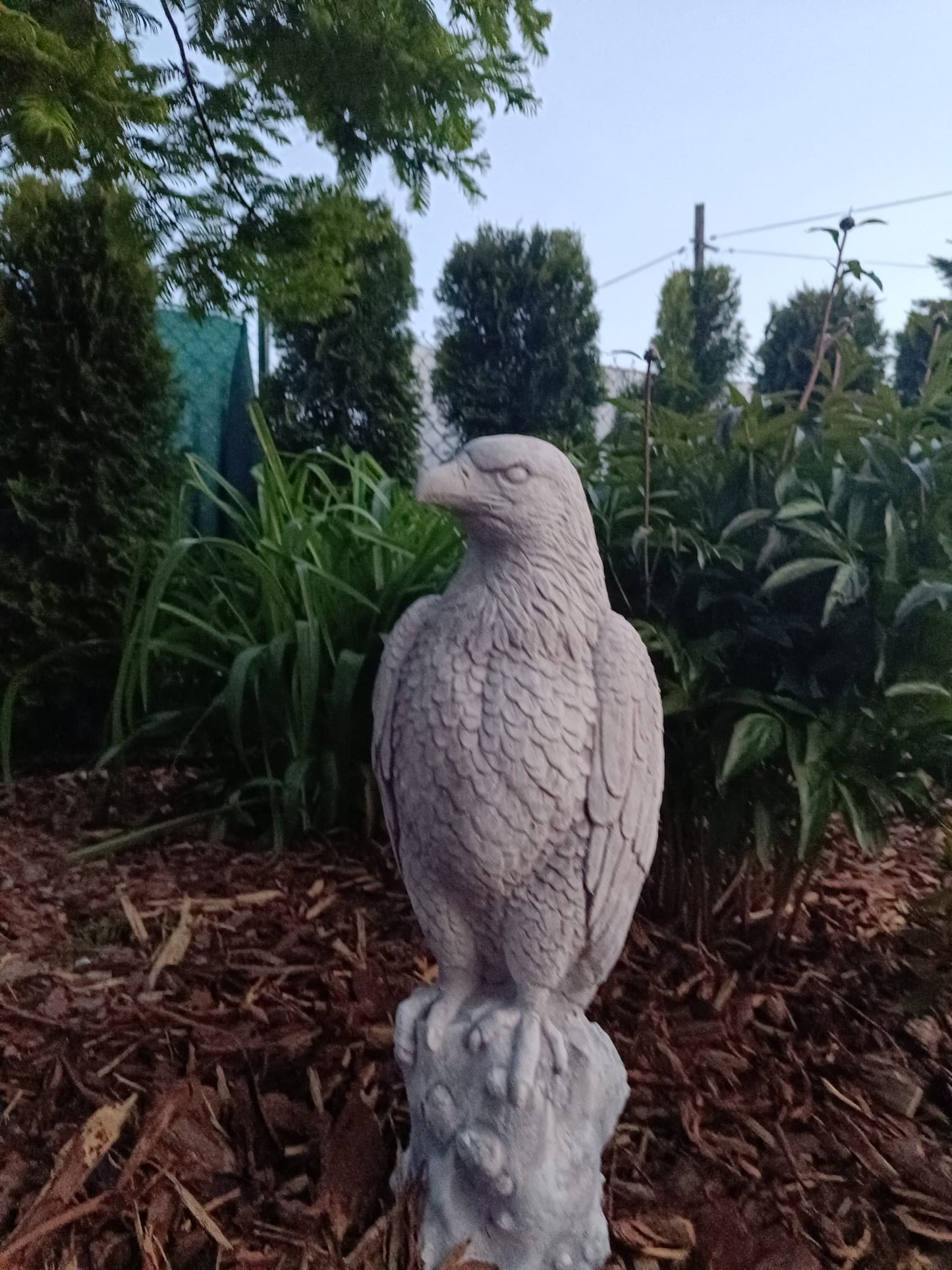 Majestic Eagle on Stone: A Symbol of Strength and Grandeur