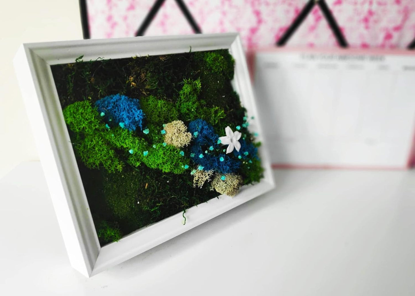 Craft made of Scandinavian moss and preserved plants in white frame - Fairy Jasmin flower