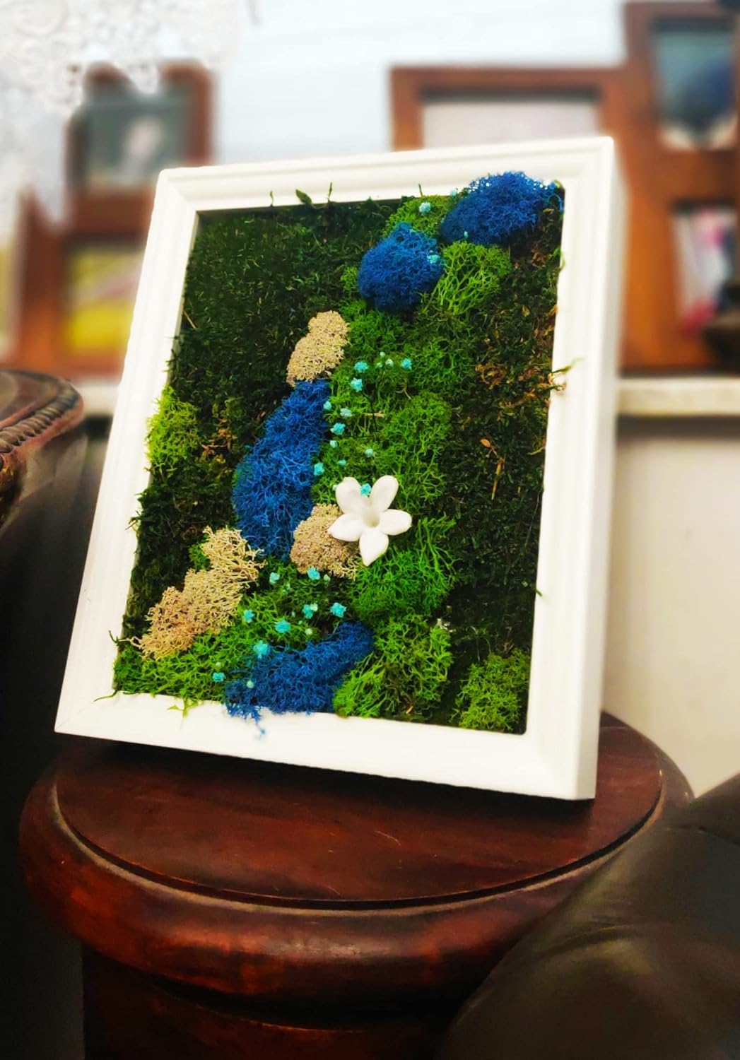 Craft made of Scandinavian moss and preserved plants in white frame - Fairy Jasmin flower