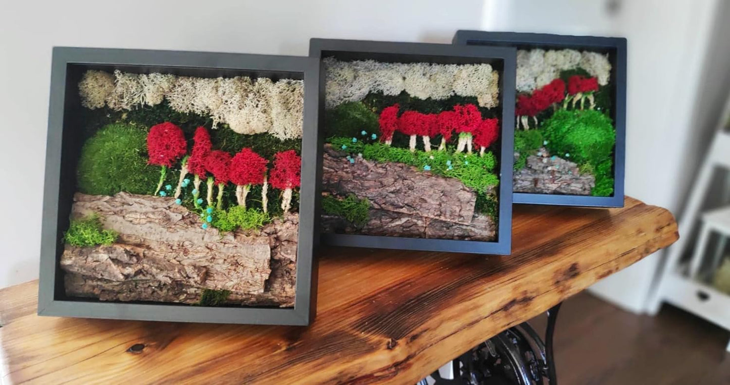 Artisan craft made from preserved plants and reindeer moss in the black frame 27x27cm - Magic Autumn in Paris