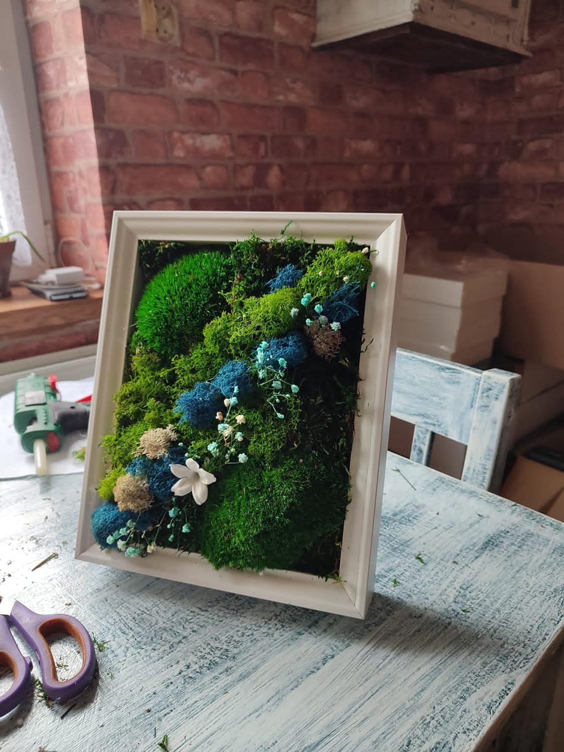 Craft made of Scandinavian moss and preserved plants in white frame - Fairy Jasmin flower