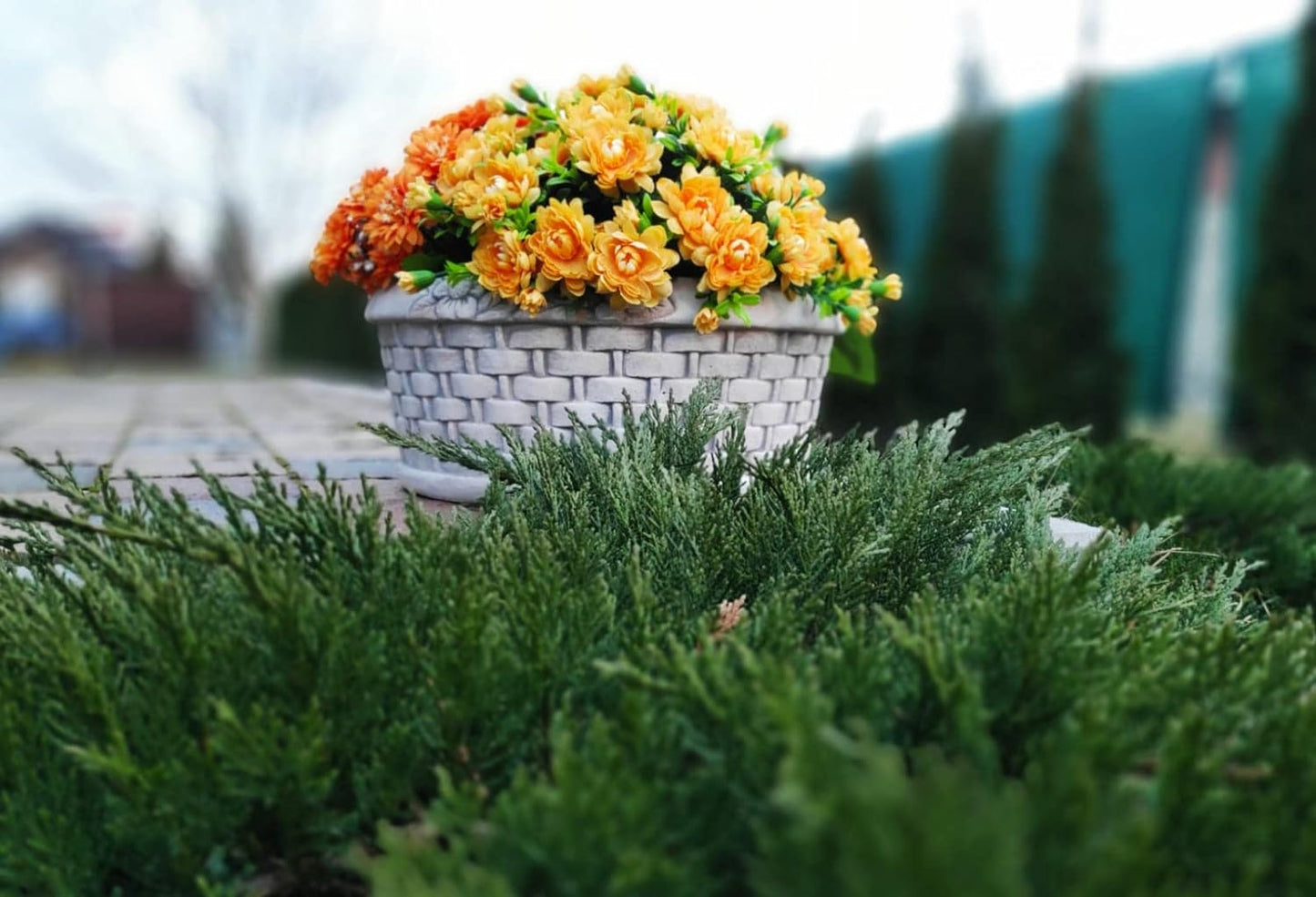 Round Wide Wicker Basket Concrete Planter