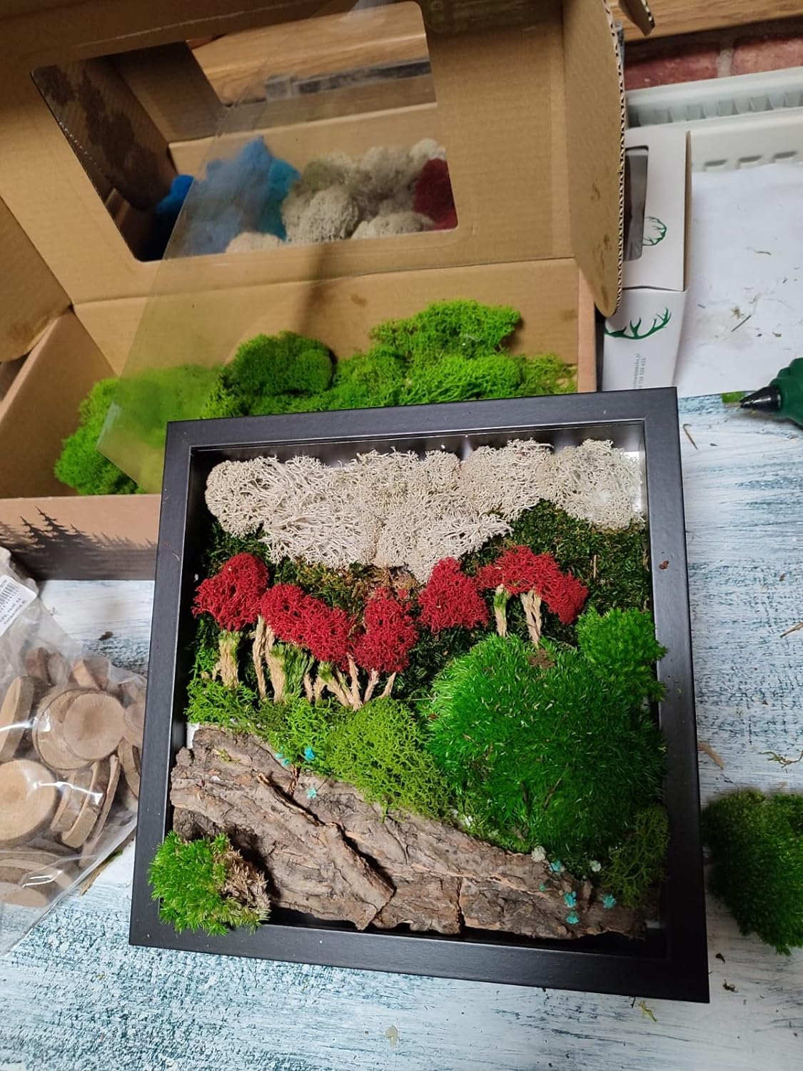 Artisan craft made from preserved plants and reindeer moss in the black frame 27x27cm - Magic Autumn in Paris