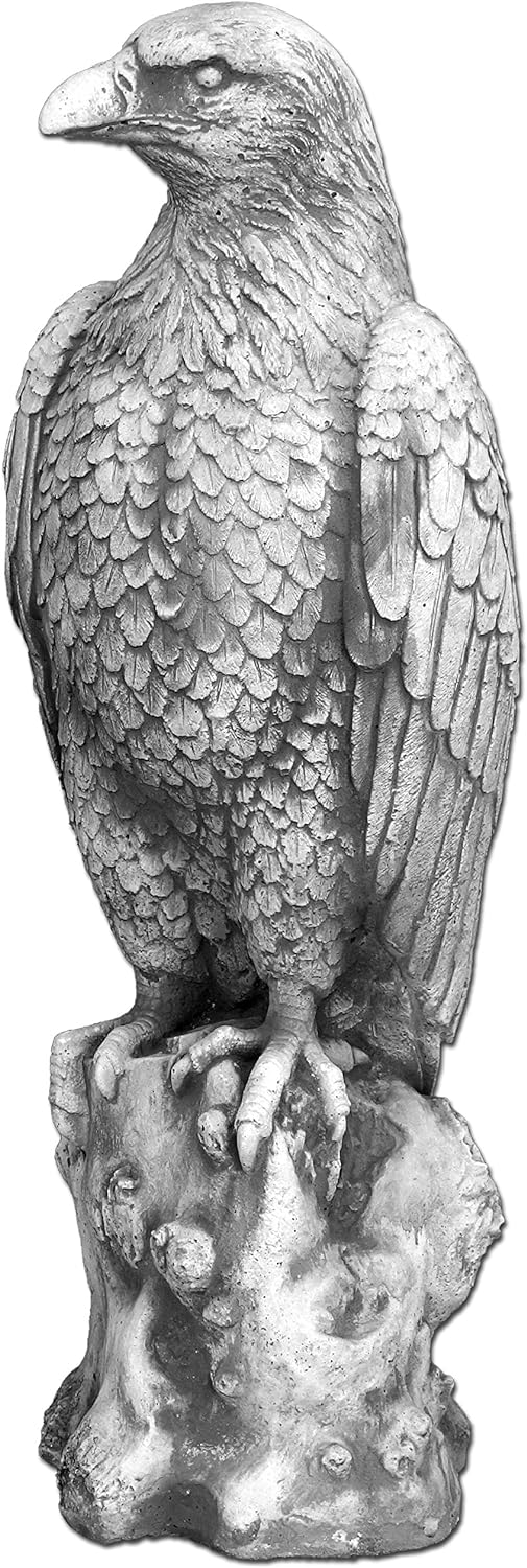 Majestic Eagle on Stone: A Symbol of Strength and Grandeur