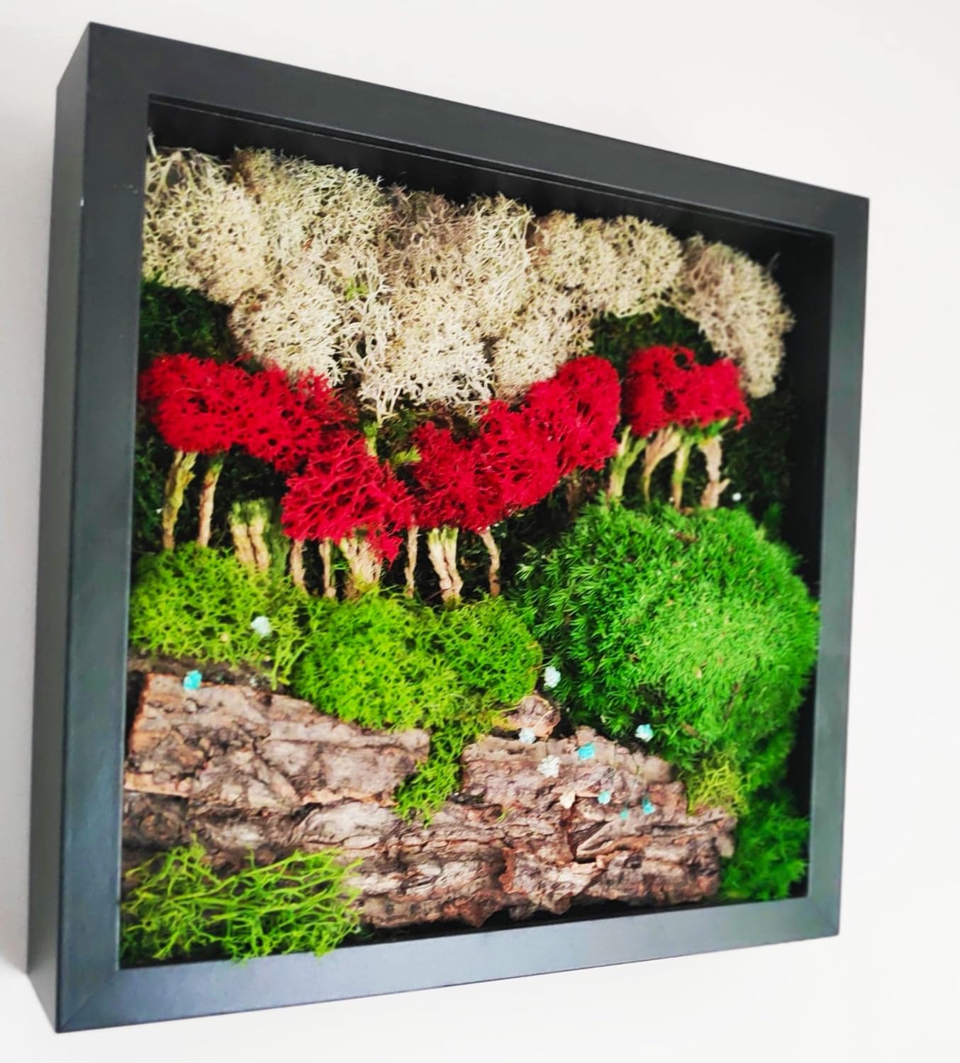 Artisan craft made from preserved plants and reindeer moss in the black frame 27x27cm - Magic Autumn in Paris