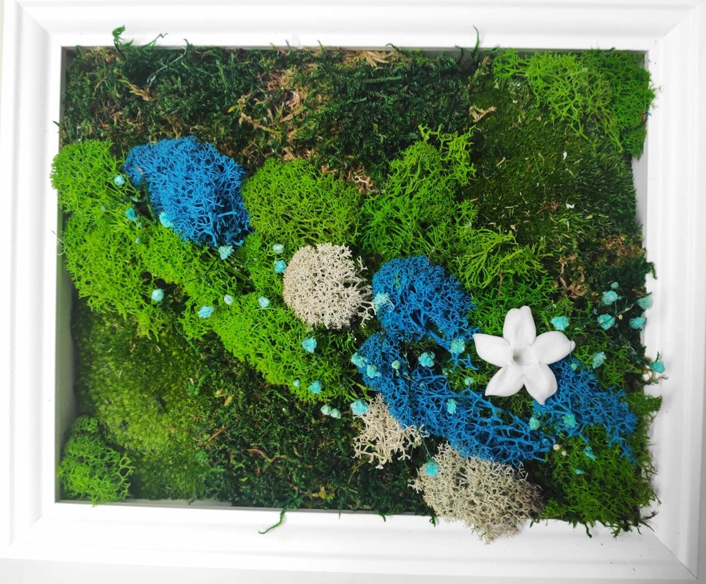 Craft made of Scandinavian moss and preserved plants in white frame - Fairy Jasmin flower