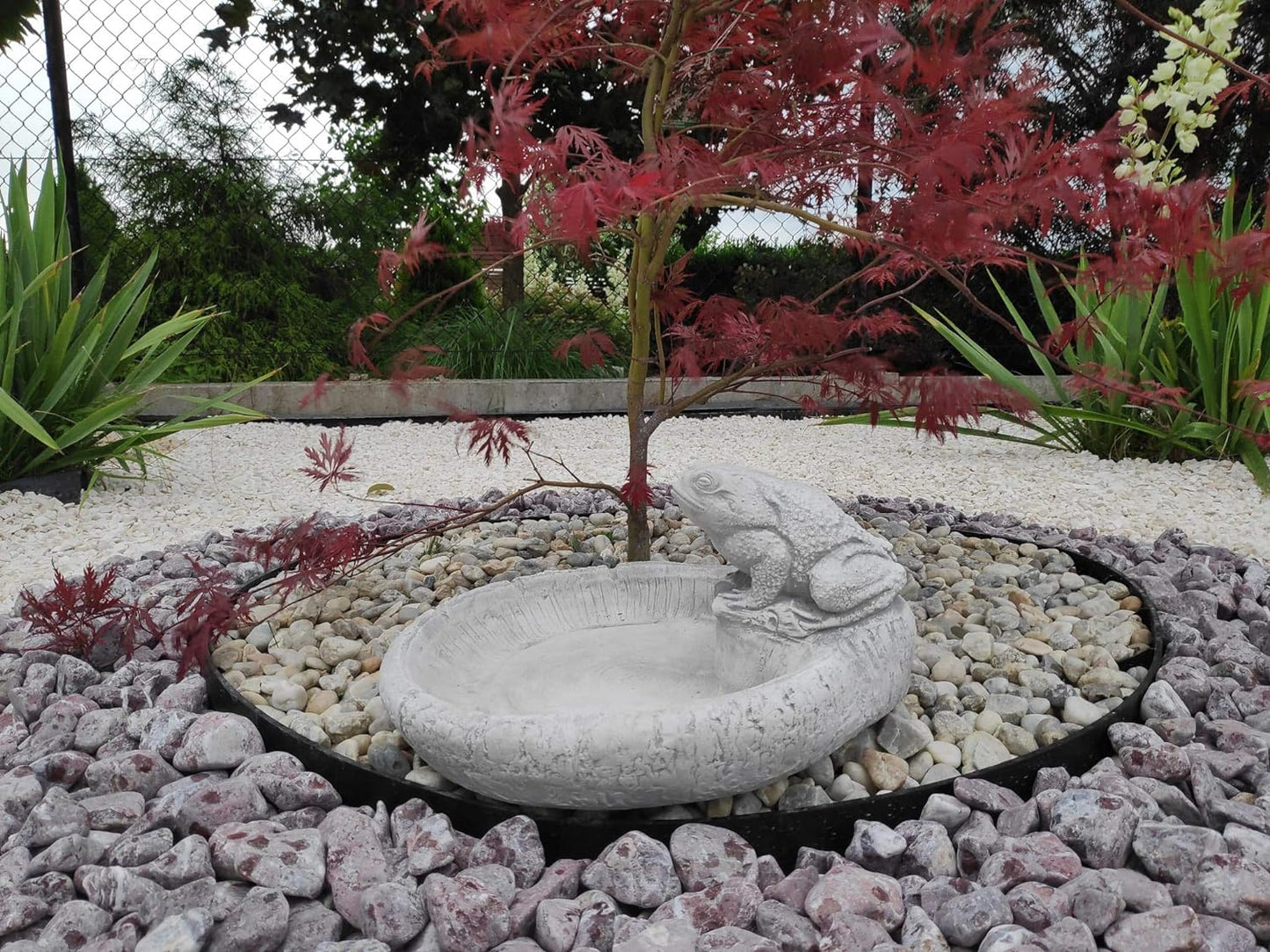 Charming Frog Design Concrete Birdbath - Small, 36x18cm