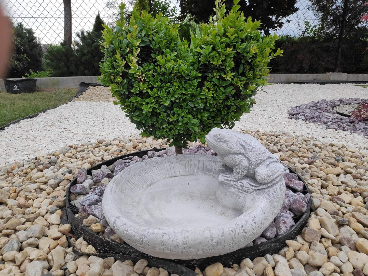 Charming Frog Design Concrete Birdbath - Small, 36x18cm