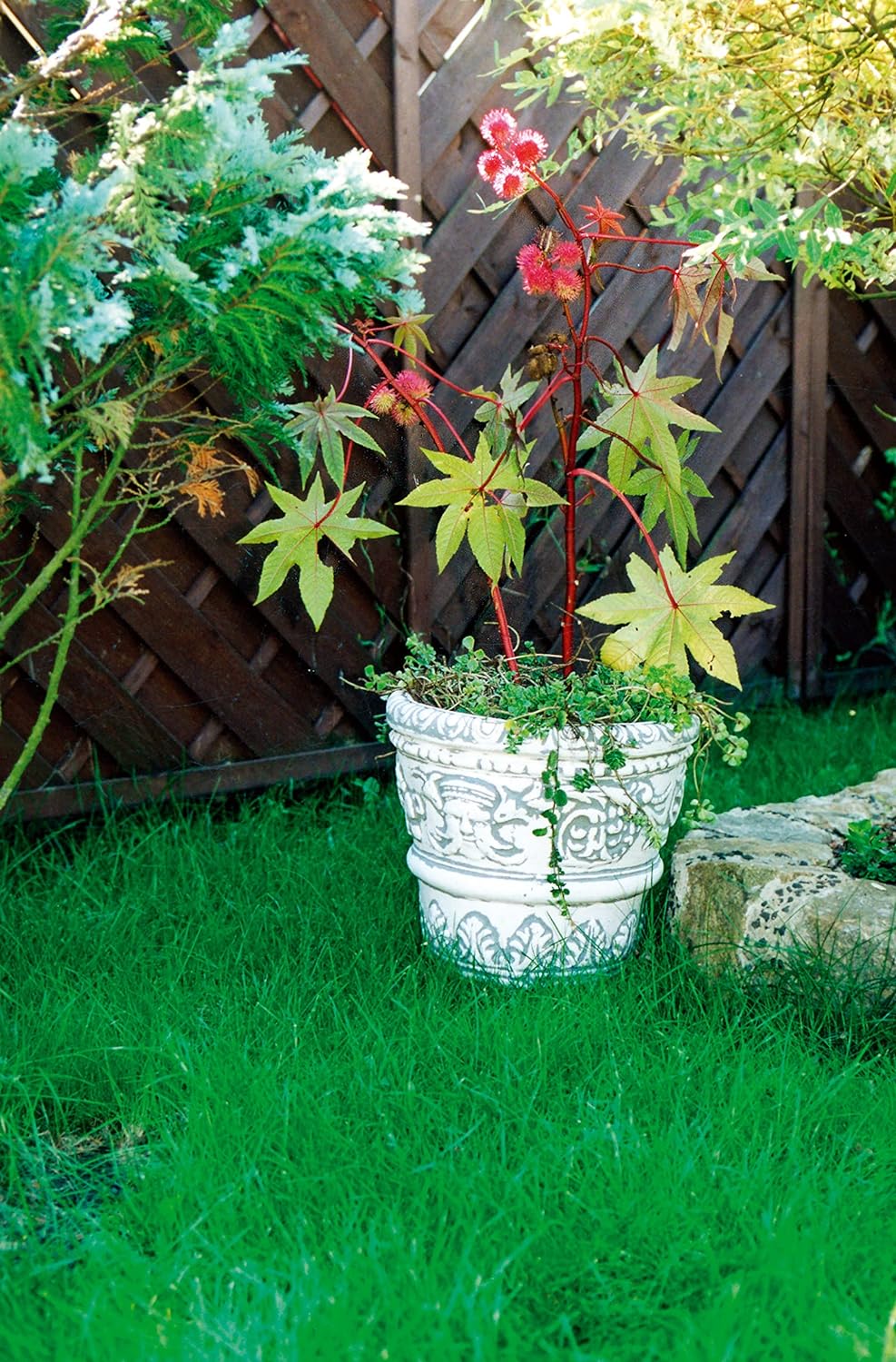Flower pot decorated with Egyptian mosaic, outdoor/indoor
