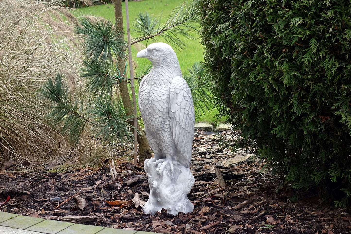 Majestic Eagle on Stone: A Symbol of Strength and Grandeur