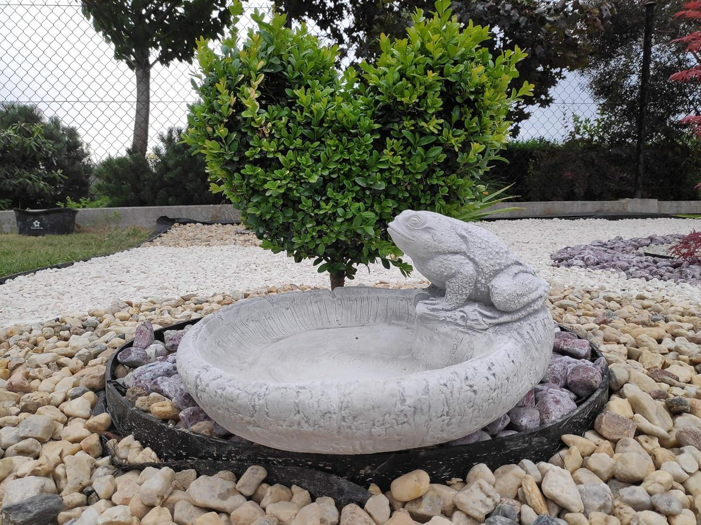 Charming Frog Design Concrete Birdbath - Small, 36x18cm