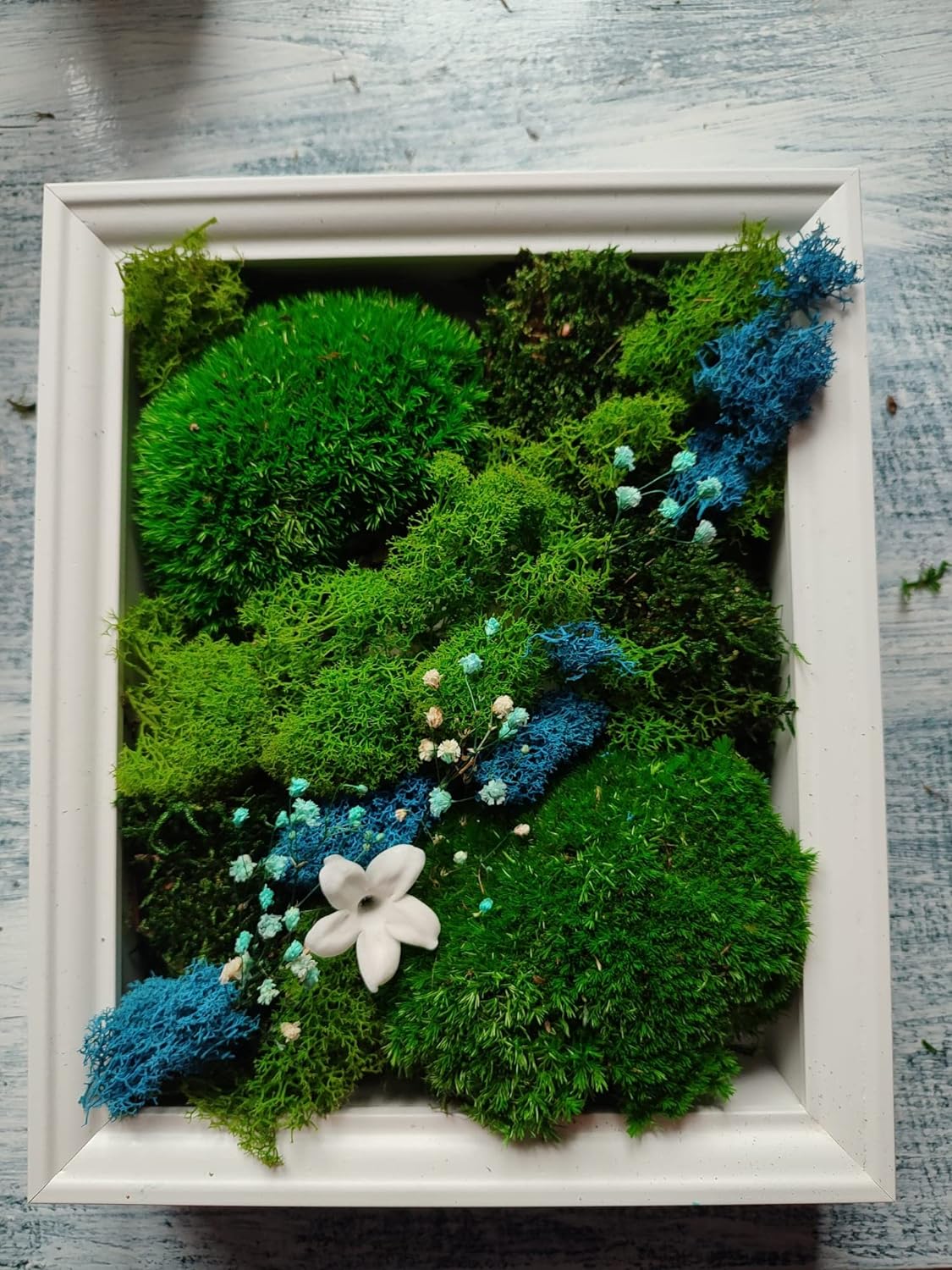 Artesanato feito de musgo escandinavo e plantas preservadas em moldura branca - flor Fada Jasmin